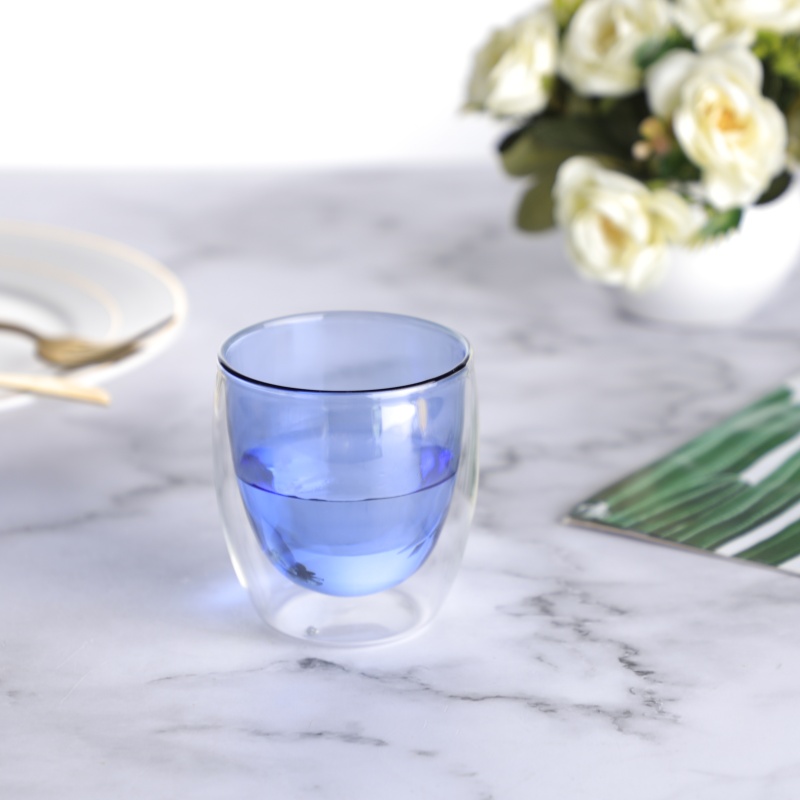 Double Wall Glass Cup